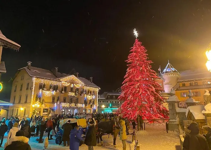 Joli Familial Centre Du Village